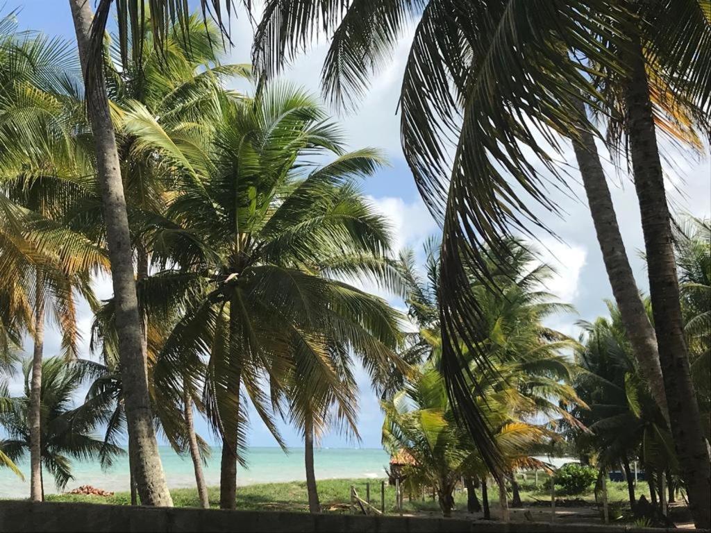 Apartmán Parador Algaroba Japaratinga Exteriér fotografie